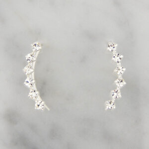 Aros Trepadores Plata y Strass