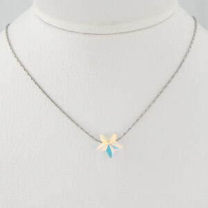 Collar Acero Dije Estrella
